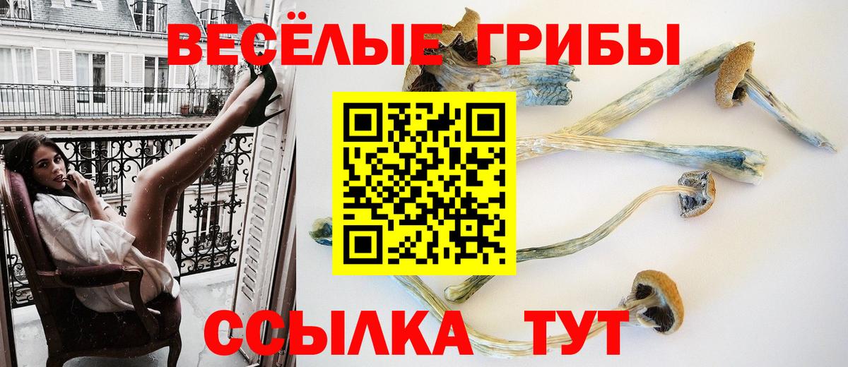 Галлюциногенные грибы мицелий  Вход с VPN  Гай 